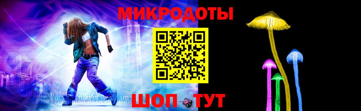 Псилоцибиновые грибы Psilocybe Черногорск